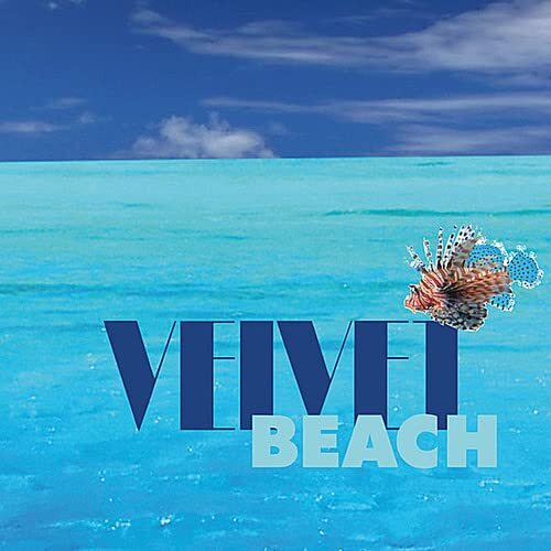 velvet & friends velvet beach (CD)
