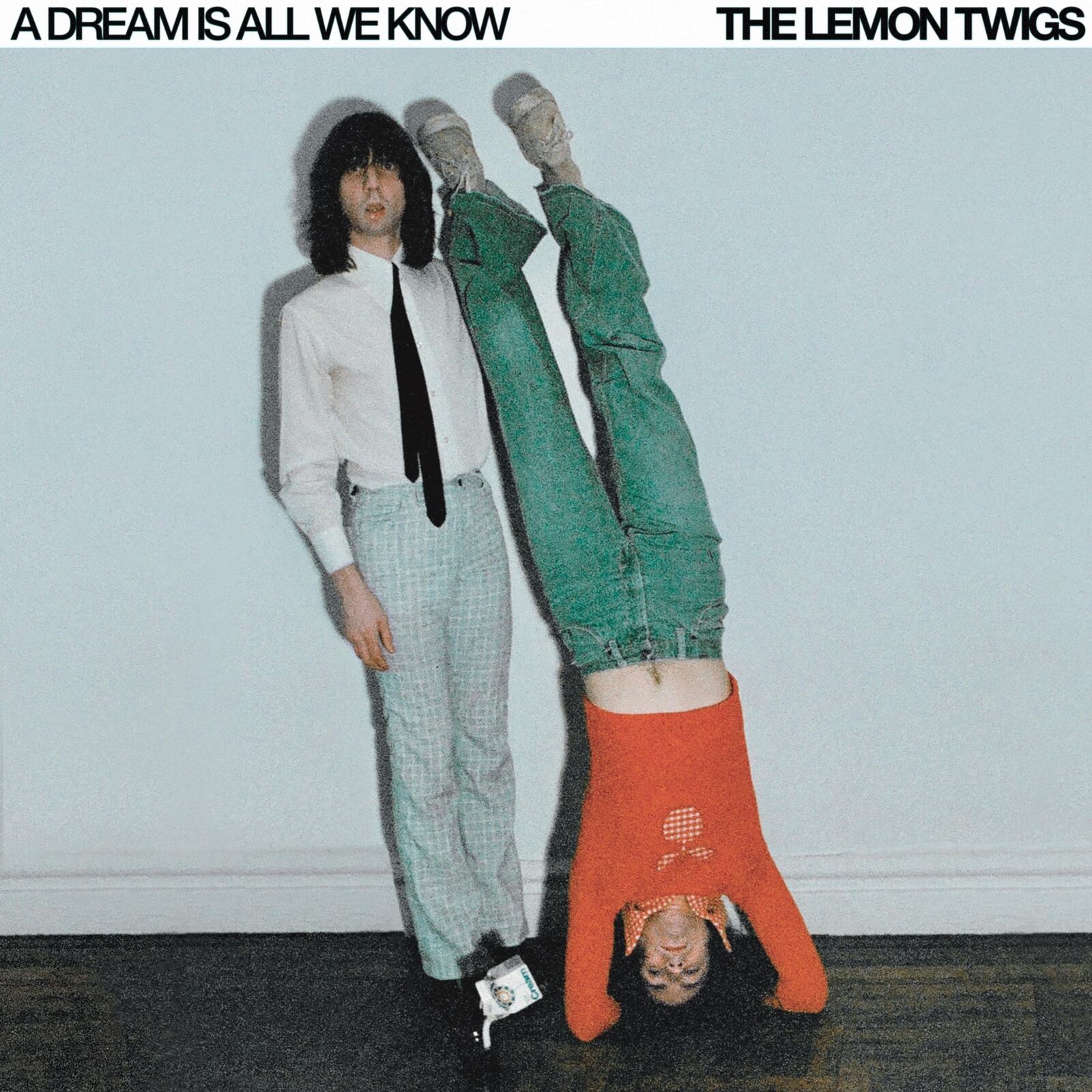 Lemon Twigs A Dream Is All We Know (Ube Vinyl Vinyl NUOVO