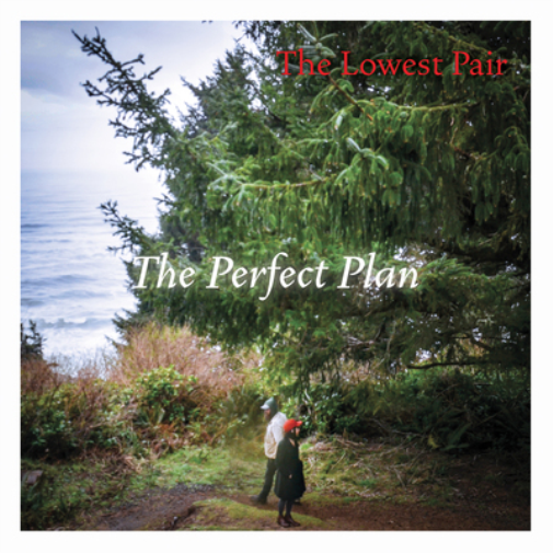 The Lowest Pair The Perfect Plan (Vinyl LP) 12" Album
