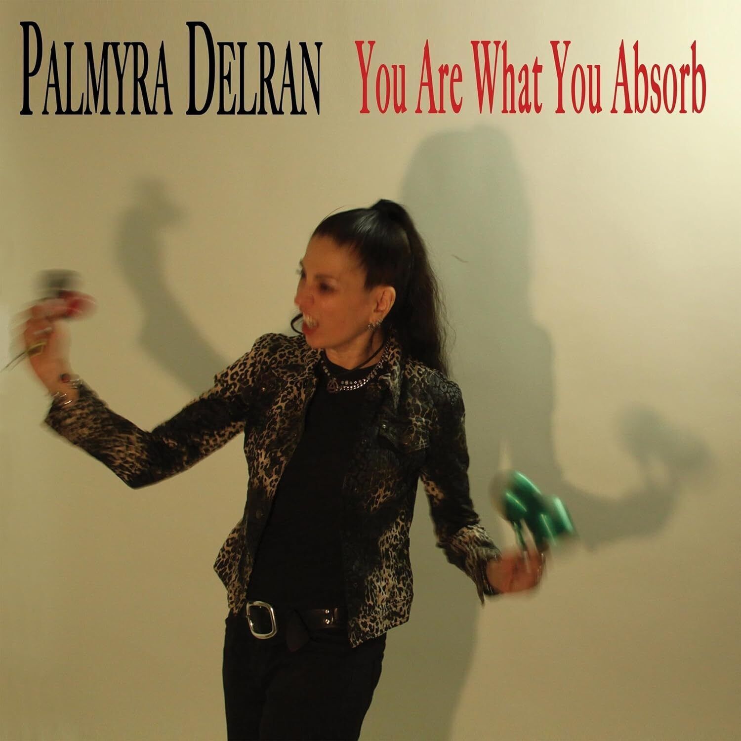 Palmyra Delran You Are What You Absorb (Vinyl LP) 12" Album