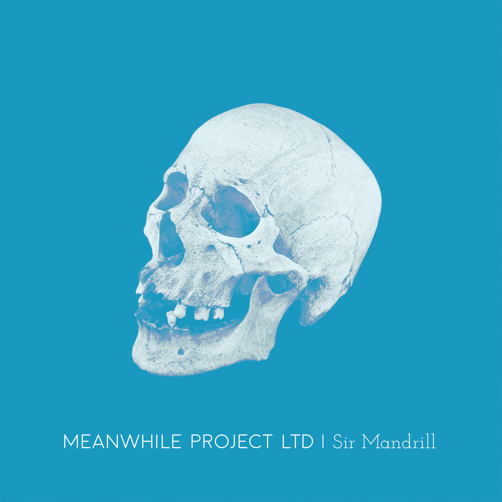 Meanwhile Project Ltd Sir Mandrill (Vinyl LP) 12" Album