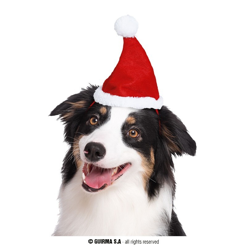 NATALE CAPPELLO BABBO CANI GATTI SANTA CLAUS HAT DOG CAT SIZE DIAMETRO 14 CM