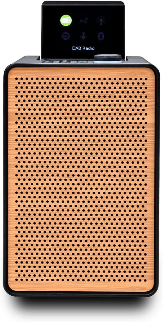 Pure Evoke Spot Sistema Musicale Compatto Edizione Speciale Nero Legno 252533-Pu