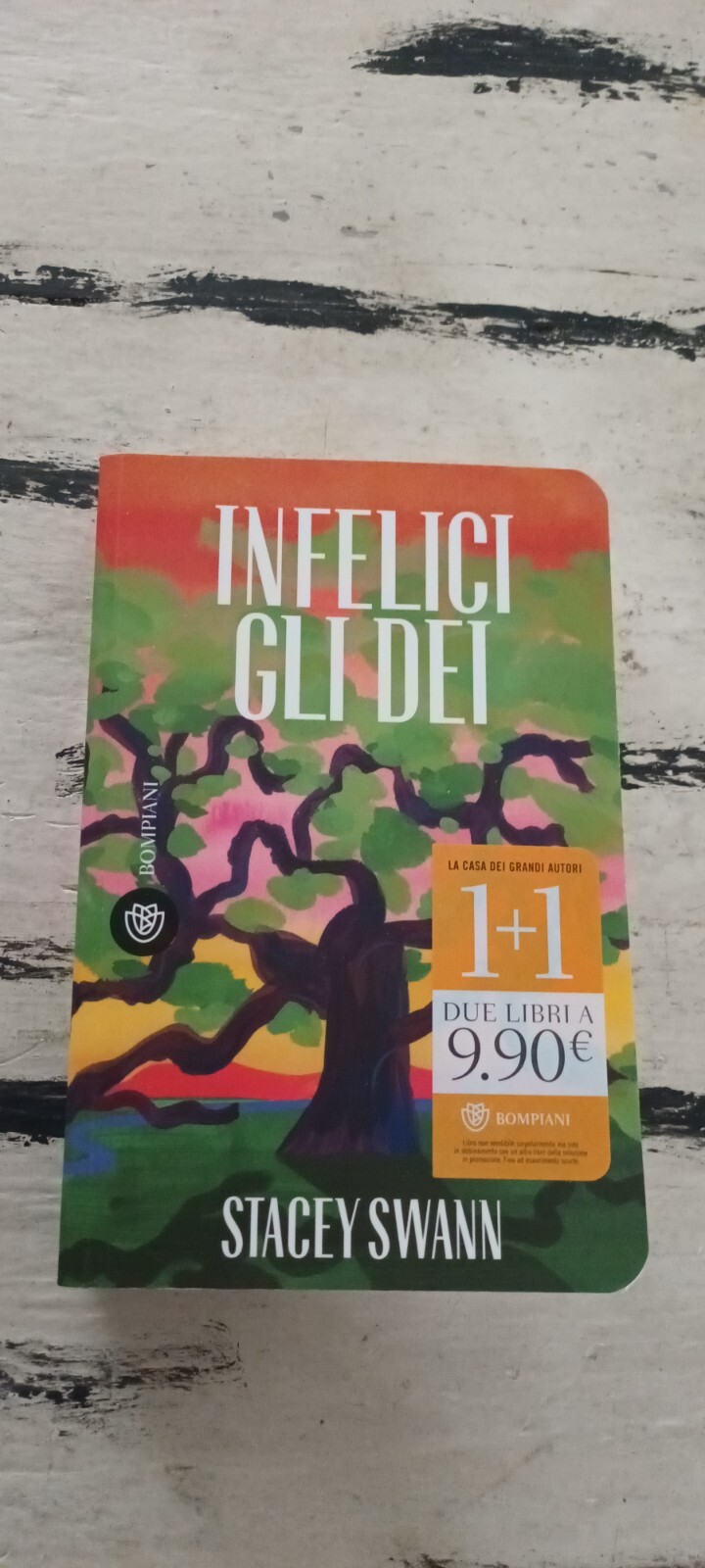 Infelici gli dei - Swann Stacey