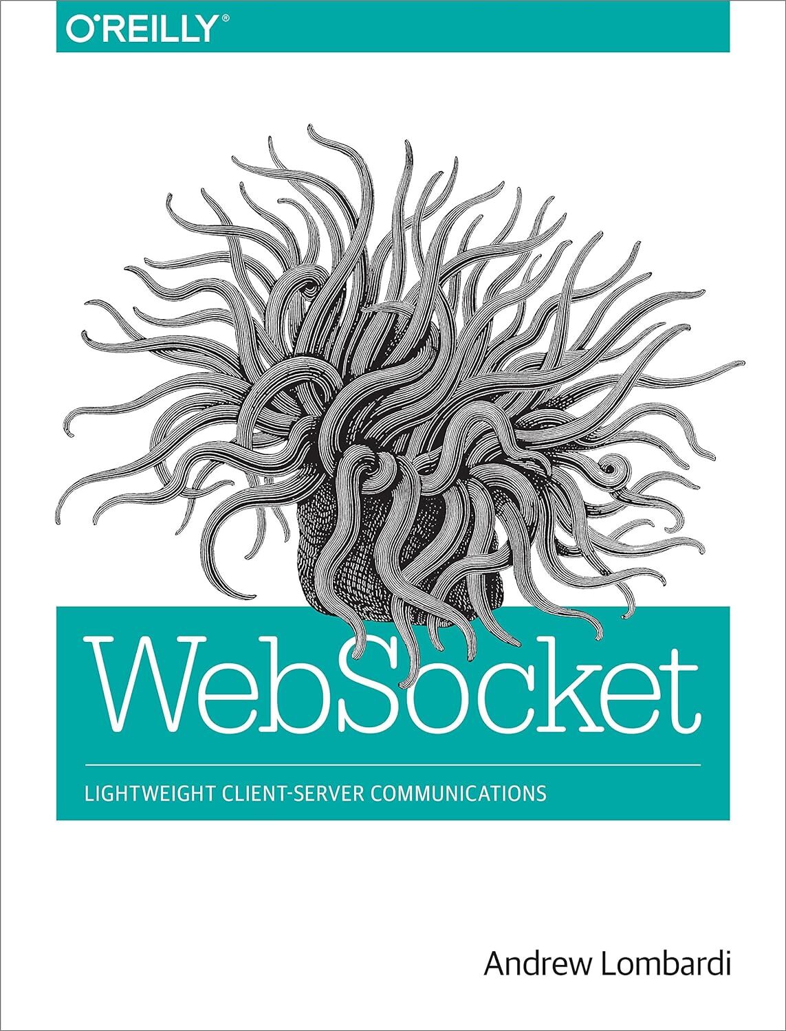 9781449369279 WebSocket - Andrew Lombardi
