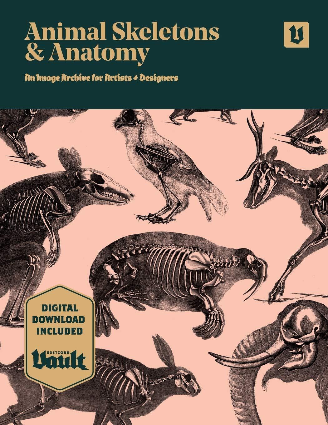 9781925968088 Animal Skeletons and Anatomy: An Image Archive for...and Designers