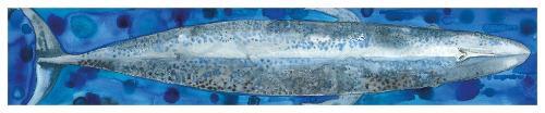 Nicola Davies Blue Heart Card (Cards) Blue Heart Cards