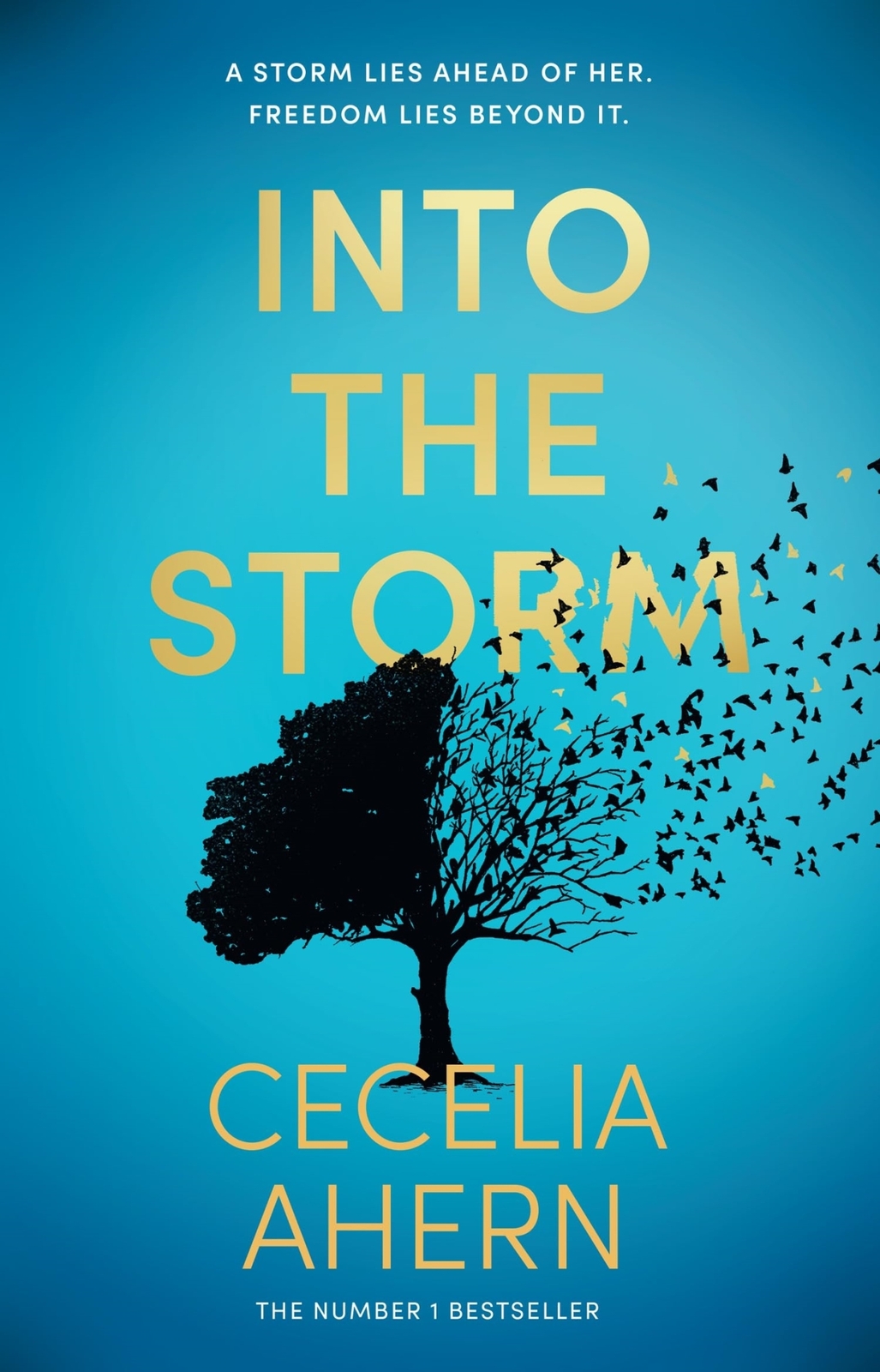 Libri Cecelia Ahern - Cecelia Ahern Untitled Novel 4