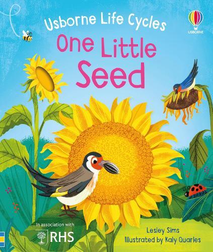 Lesley Sims One Little Seed (Libro di cartone) Life Cycles