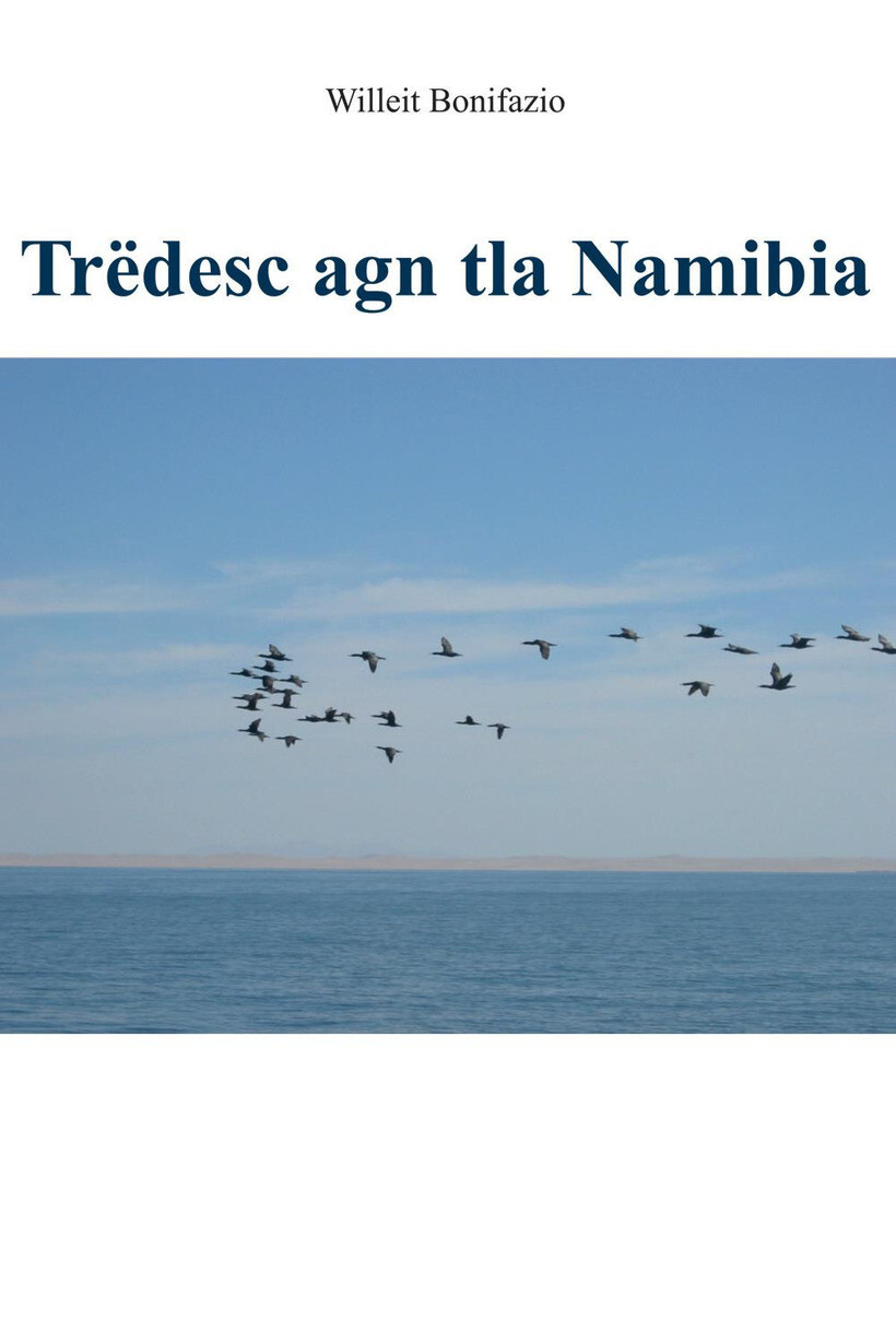 TRËDESC AGN TLA NAMIBIA - WILLEIT BONIFAZIO 9791221426328