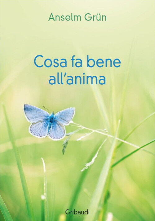 Cosa Fa Bene All'Anima - Anselm Grün - 2017
