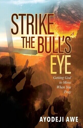 Ayodeji Awe Strike the Bull's Eye (Tascabile)