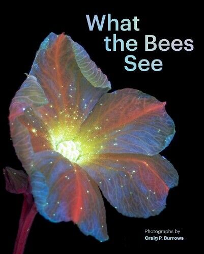Craig P. Burrows What the Bees See (Copertina rigida)