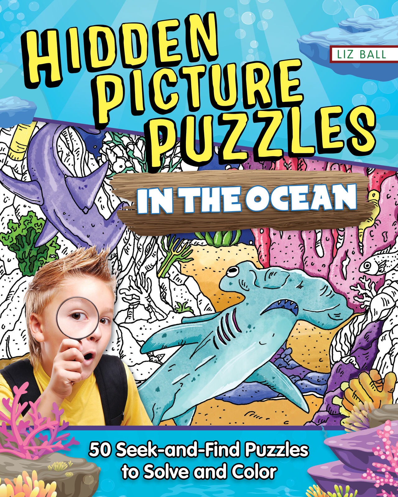 Liz Ball Hidden Picture Puzzles in the Ocean (Tascabile)