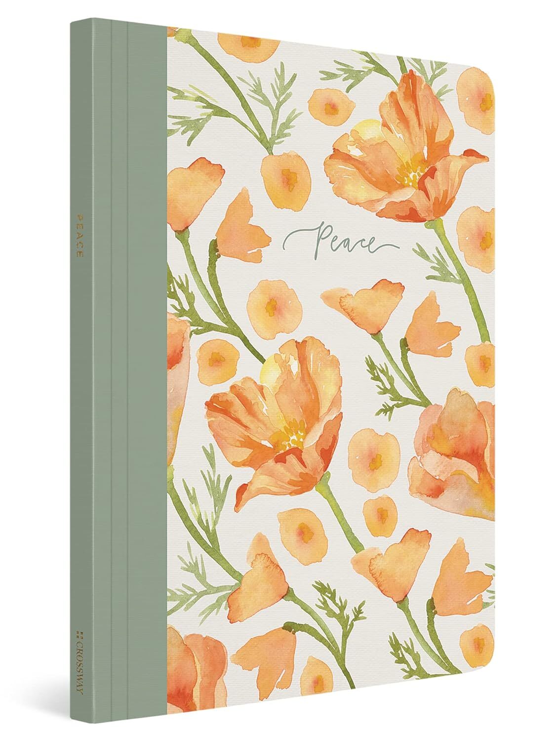 9781433582486 ESV Prayer Journal: 30 Days on Peace: 30 Days on Peace (Paperback)