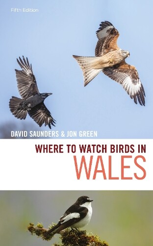 Jon Green David Saunders Where to Watch Birds in Wales (Tascabile)