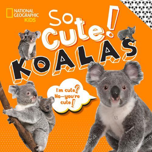 Crispin Boyer So Cute! Koalas (Copertina rigida)