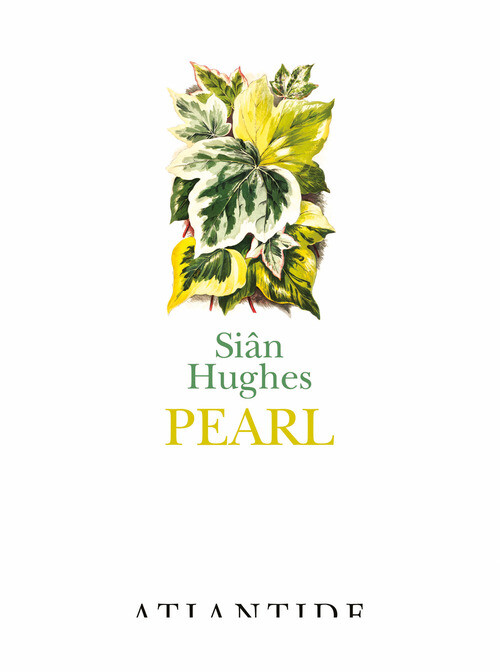 Pearl - Sian Hughes - 2023