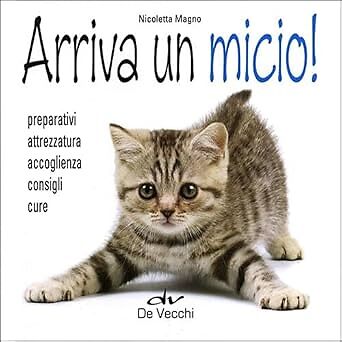 Arriva un micio! Preparativi, attrezzatura, accoglienza, cure Magno, Nicoletta