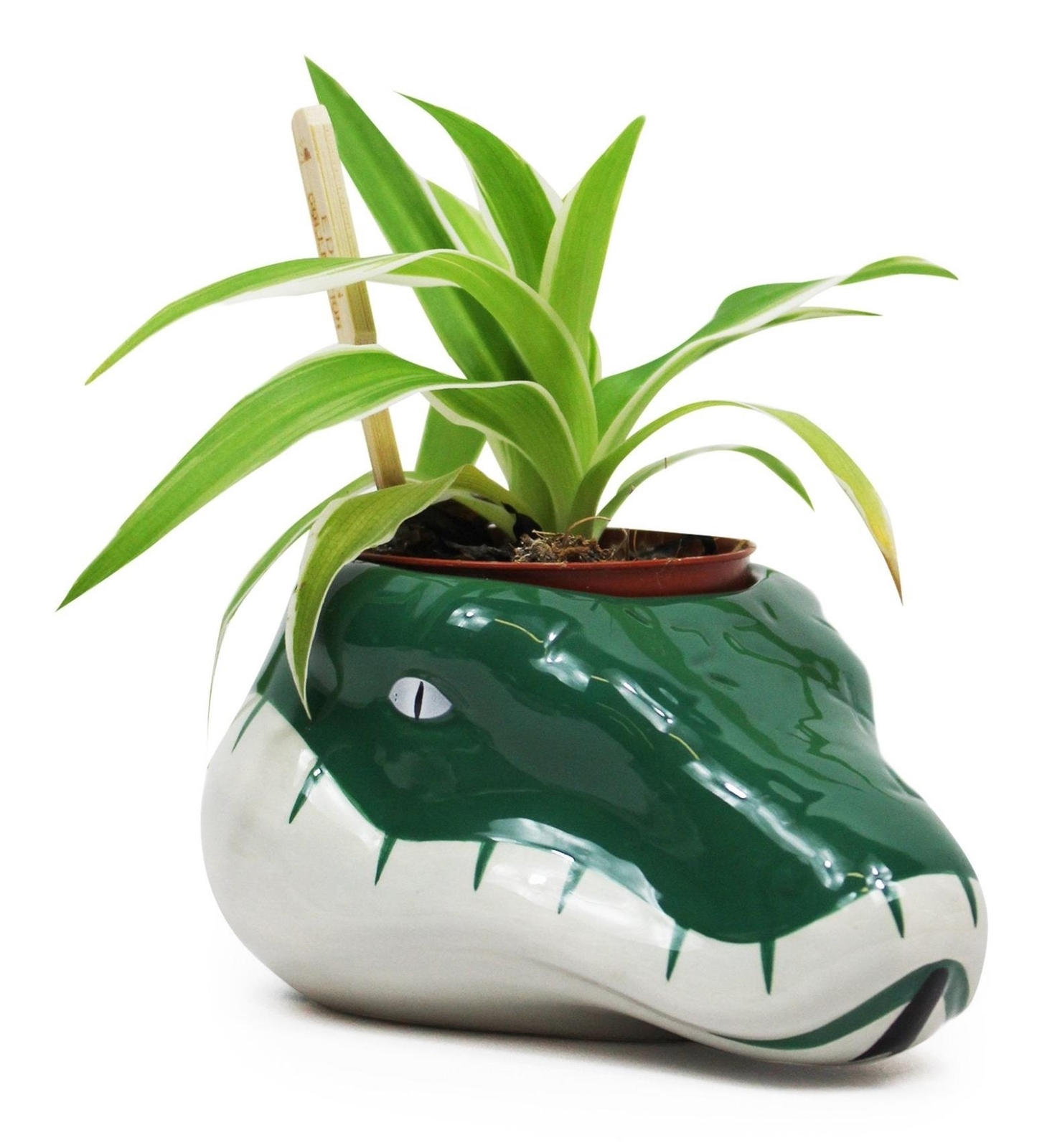 Harry Potter: Half Moon Bay - Slytherin (Plant Pot / Vaso Da Fiori) -