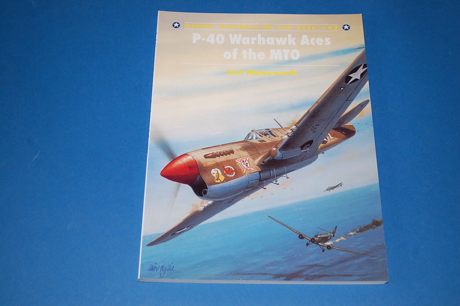Osprey Aircraft of the Aces 43 - P-40 Warhawk Aces of the MTO