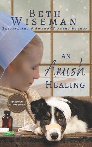 Beth Wiseman An Amish Healing (A Romance) (Tascabile) Amish Healing