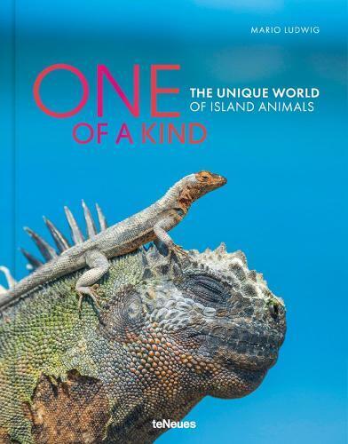 Mario Ludwig One of a Kind (Copertina rigida)