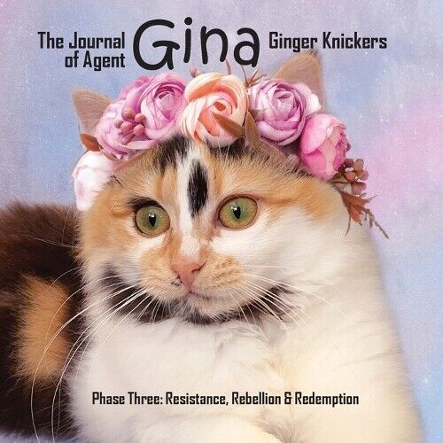 Linda Deane The Journal of Agent Gina Ginger Knickers Phase Three (Tascabile)