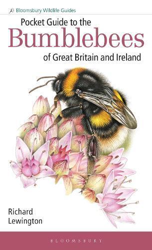 Richard Lewingt Pocket Guide to the Bumblebees of Great Britain and  (Tascabile)