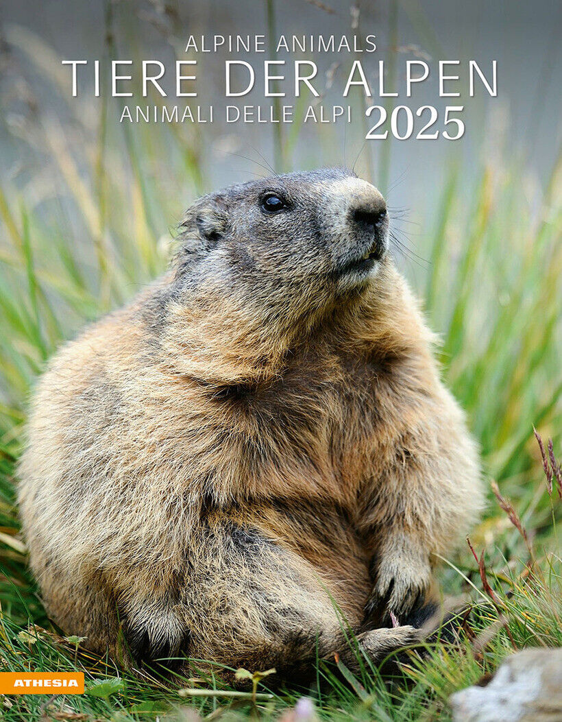 TIERE DER ALPEN. KALENDER 2025 - AA.VV. 9788868397449