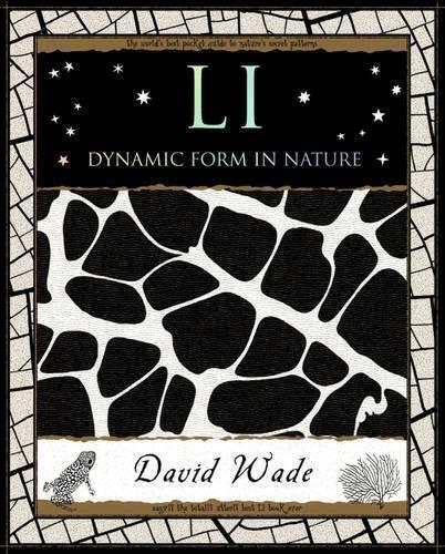 David Wade Li: Dynamic Form in Nature (Tascabile) Mathemagical Ancient Wizdom