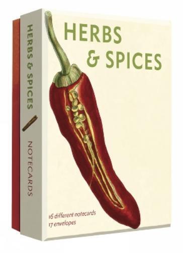 Herbs and Spices Detailed Notecard Set (Cards) Detailed Notes