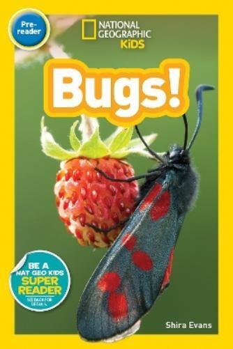 Shira Evans National Geographic Kids Readers: Bugs (Tascabile) Readers
