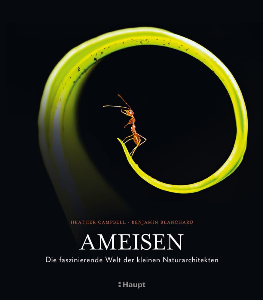 Benjamin Blanchard Heathe Ameisen: Die faszinierende Welt der (Copertina rigida)