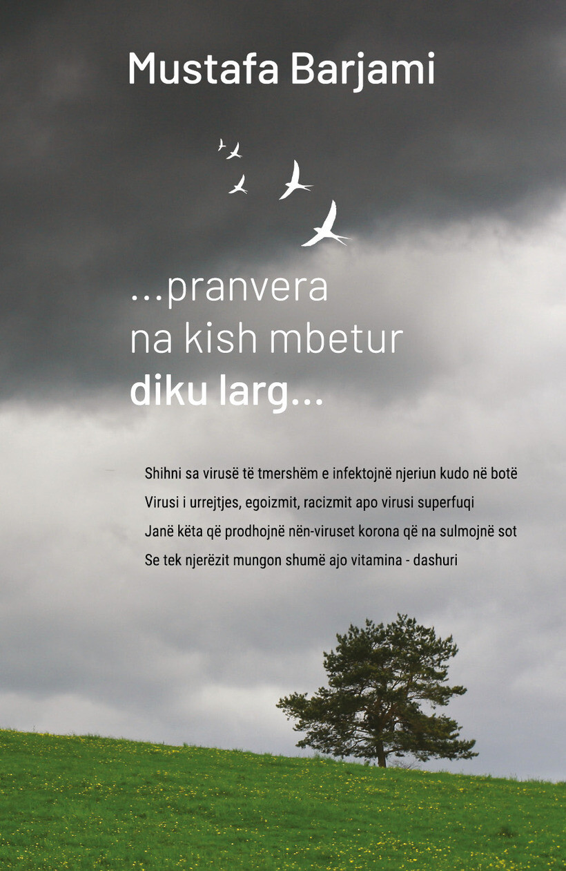 PRANVERA NA KISH MBETUR DIKU LARG - BARJAMI MUSTAFA 9791220391825