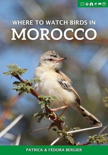 Patrick Bergier Fedora Bergier Where to Watch Birds in Morocco (Tascabile)