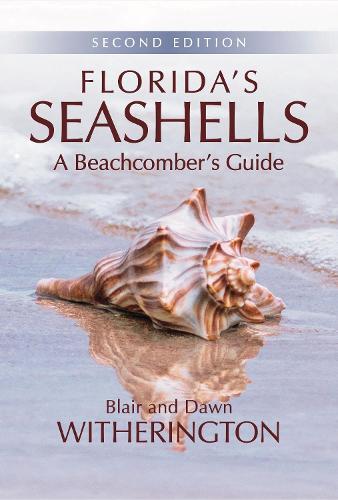 Blair Witherington Florida's Seashells (Tascabile)