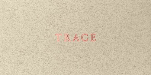 Lauren Hinkson Jenny Holzer: Trace (Tascabile)