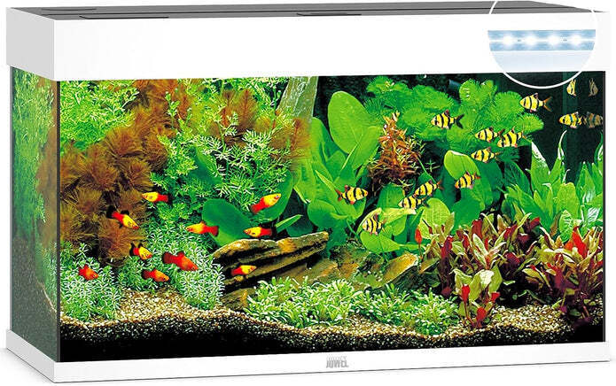 ACQUARIO JUWEL Rio 125 Led In Vetro Completo 81x36x50cm BIANCO