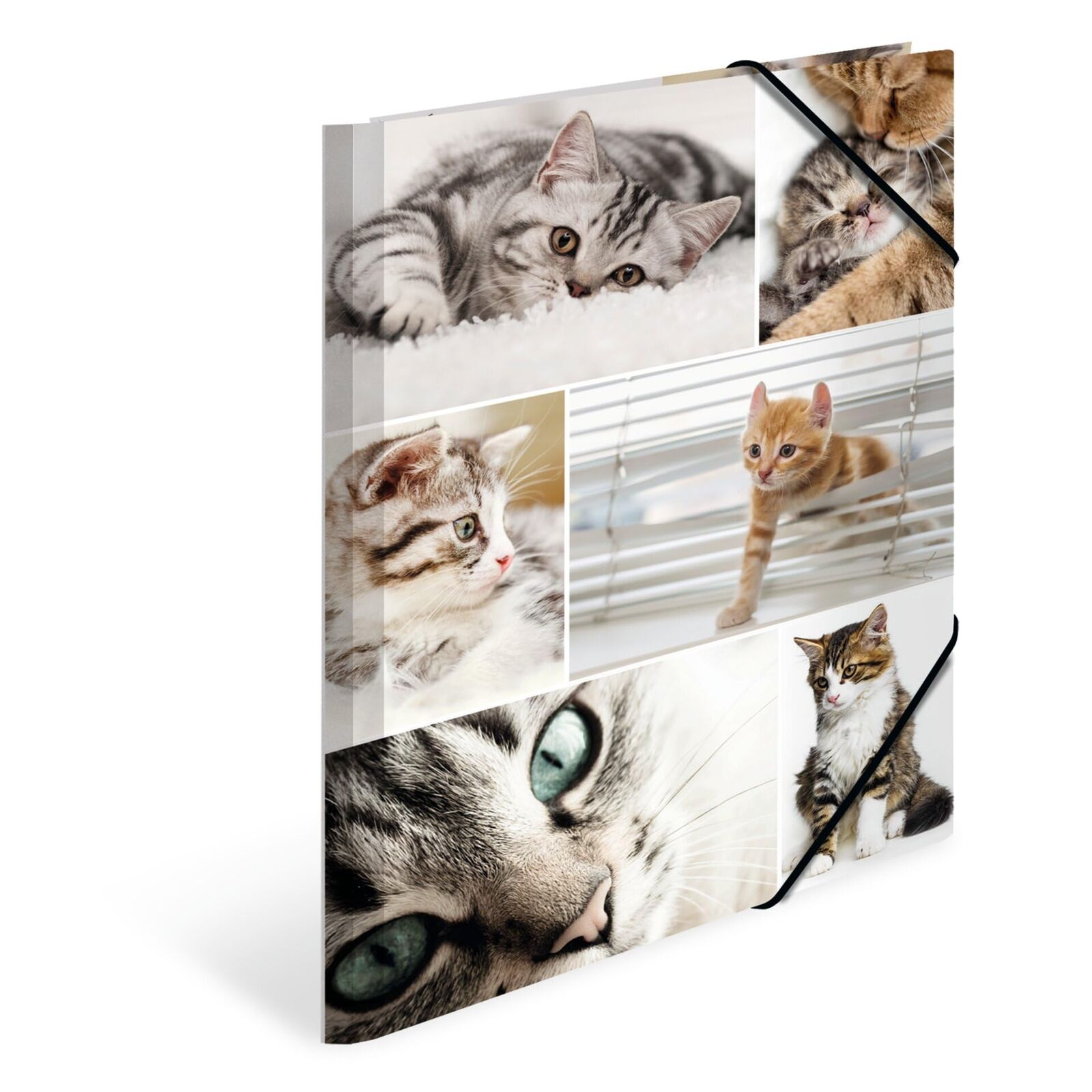 HERMA Elastic Folder Animals with Cats Motif, A4, Sturdy Cardboard, with Inner P