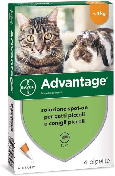 Bayers Advantage Spot On 40 Gatti e Conigli 4 Fiale da 4 Ml