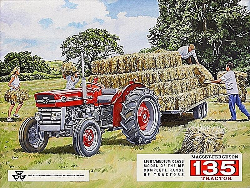 Massey Ferguson 135 Grande Acciaio Insegna 400mm x 300mm