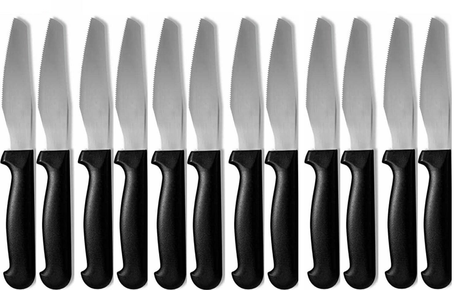 Abert rost, set 12 coltelli pizza, carne lama in acciaio inox estremamente tagli