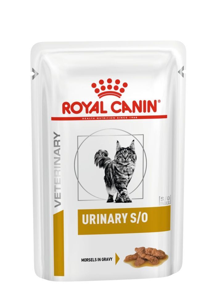 Royal Gatto Umido Gatto Urinary S/O Pollo Gravy 85gr