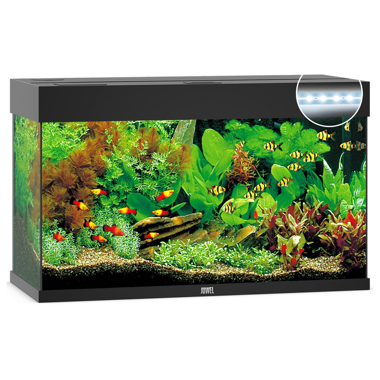 ACQUARIO JUWEL Rio 125 Led In Vetro Completo 81x36x50cm NERO
