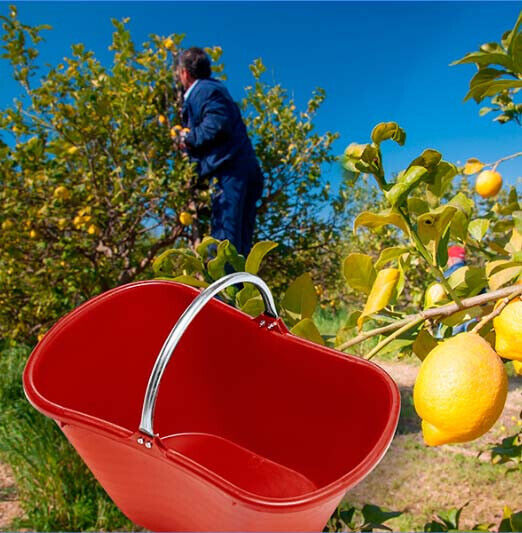 CESTA AGRICOLA OVALE 20 LT