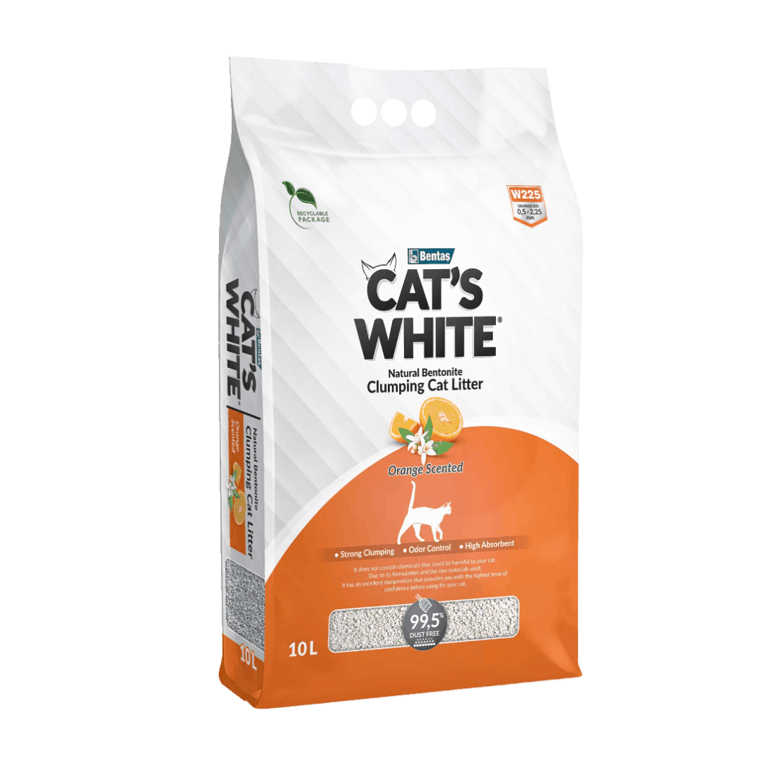 Cat's White Orange