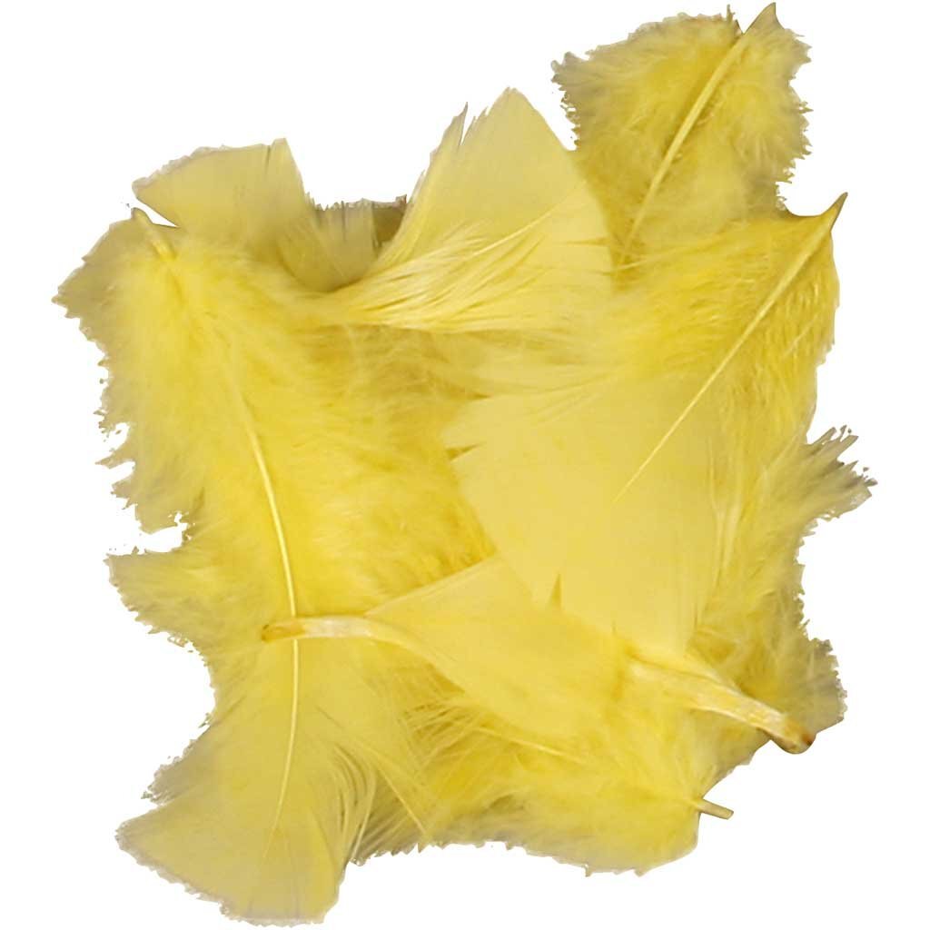 Federn Größe 7-8 cm gelb 50g
