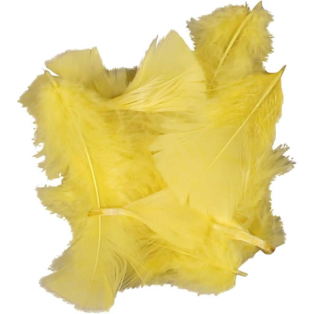 Federn Größe 7-8 cm gelb 50g