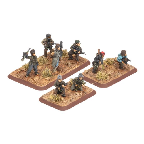 Flames of War Militia Group